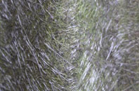 High Onn Wharf fibreglass roof work